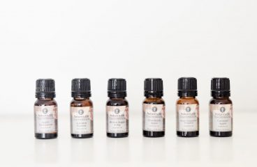 Focus on November Favorites