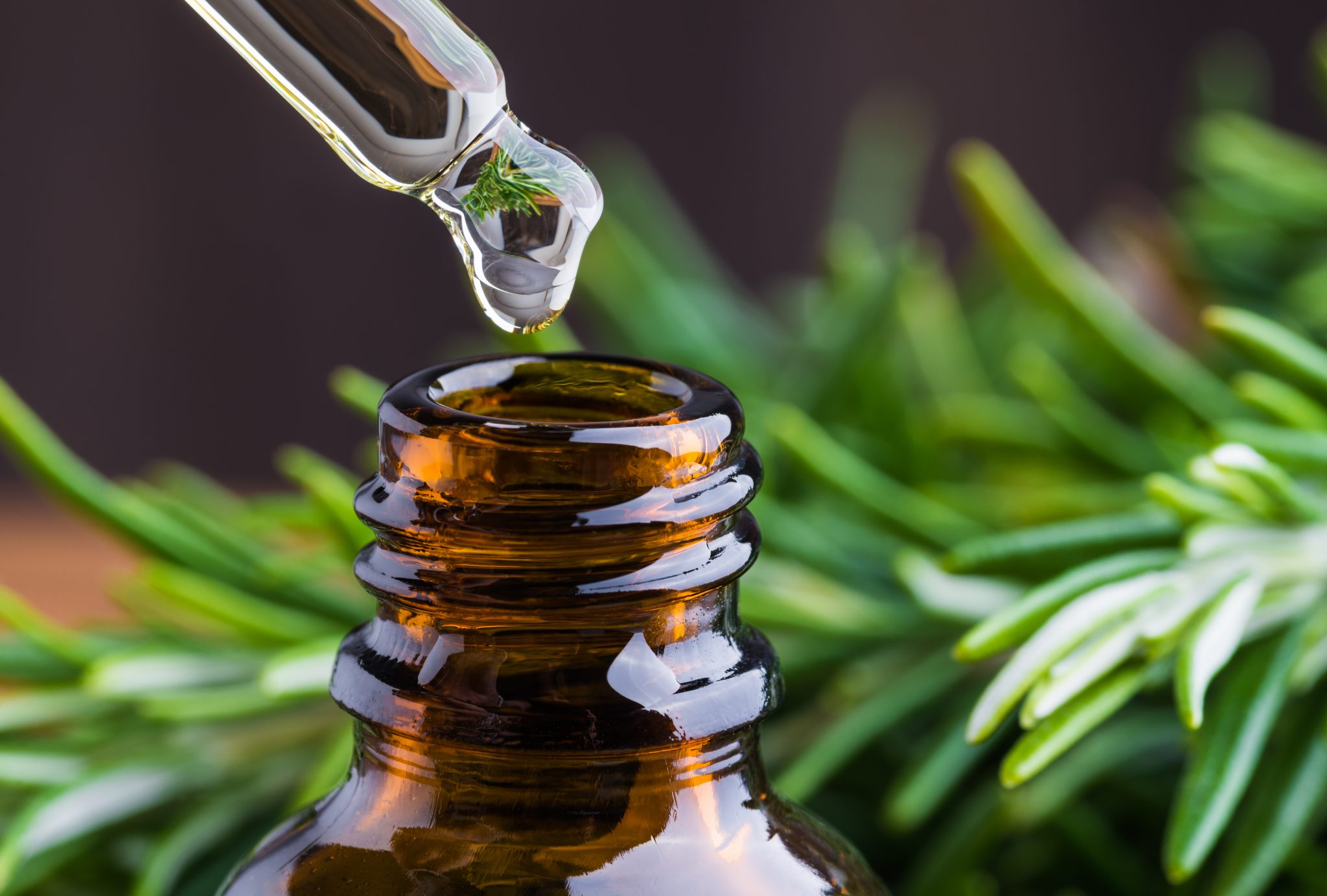 Rosemary Hair Growth Serum Recipe Natures Oil Blog