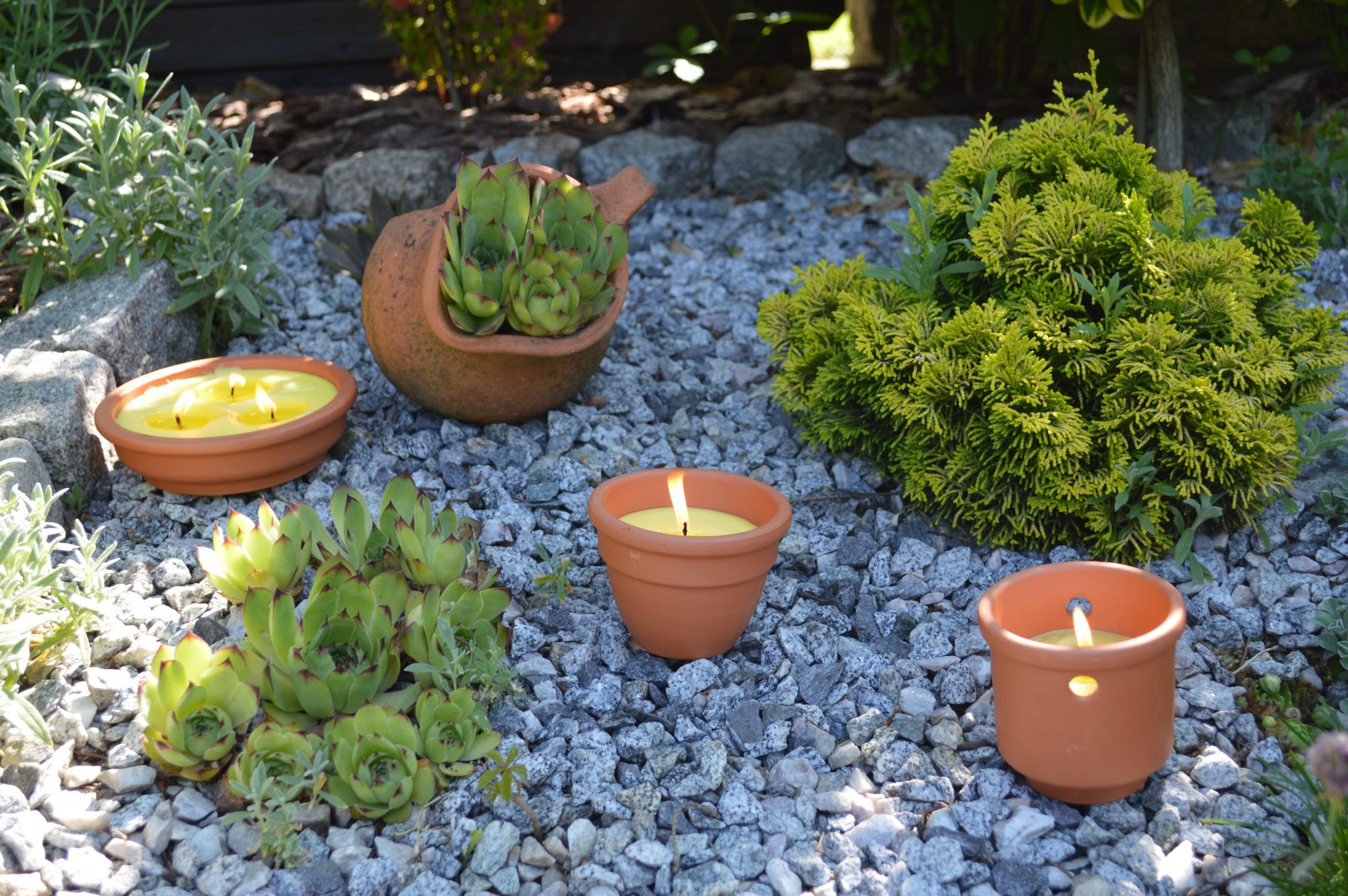 Summer Essentials Citronella Essential Oil Natures Oil Blog